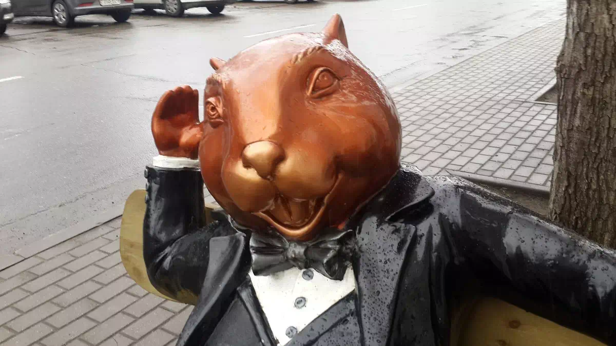 Развлечения